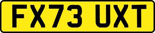 FX73UXT
