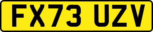 FX73UZV