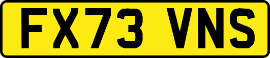 FX73VNS