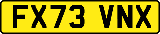 FX73VNX