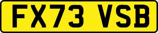 FX73VSB