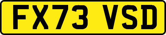 FX73VSD