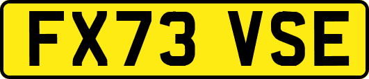 FX73VSE