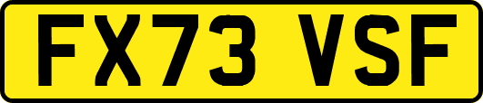 FX73VSF