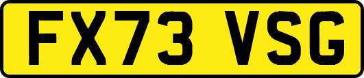 FX73VSG