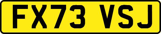 FX73VSJ