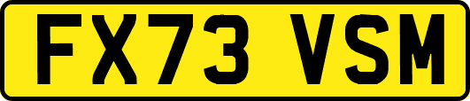 FX73VSM
