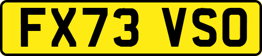 FX73VSO