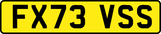 FX73VSS