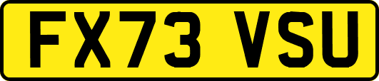 FX73VSU