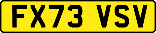 FX73VSV