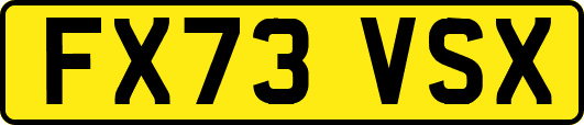 FX73VSX