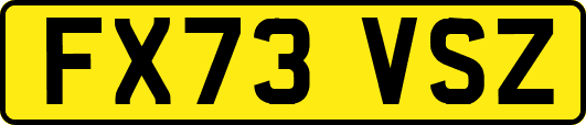 FX73VSZ