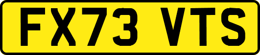 FX73VTS
