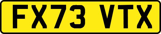 FX73VTX
