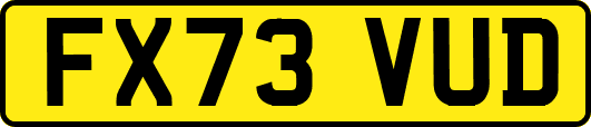 FX73VUD