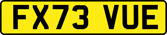 FX73VUE