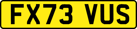 FX73VUS