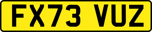 FX73VUZ