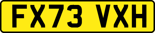 FX73VXH