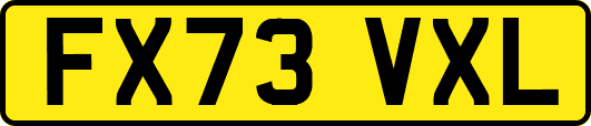 FX73VXL
