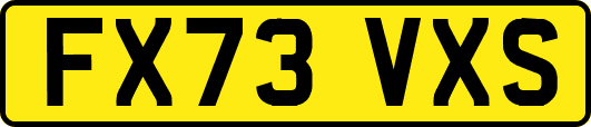 FX73VXS