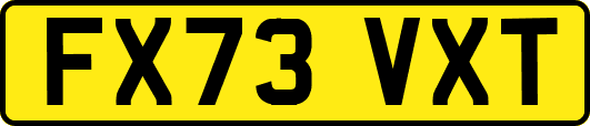FX73VXT