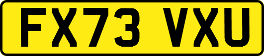 FX73VXU