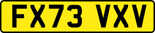 FX73VXV