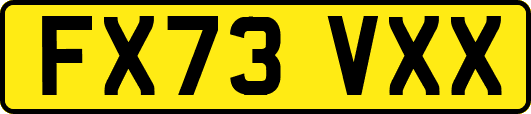 FX73VXX