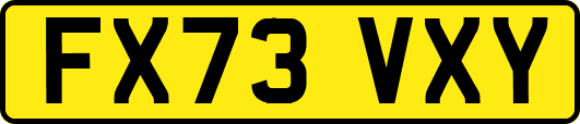 FX73VXY