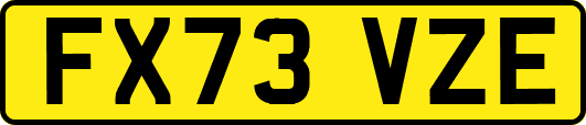 FX73VZE