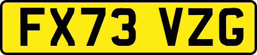 FX73VZG