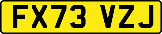 FX73VZJ