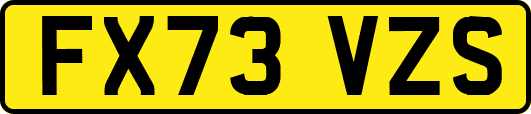 FX73VZS