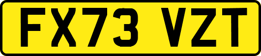 FX73VZT