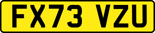 FX73VZU
