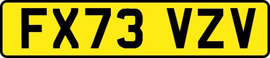 FX73VZV