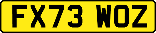FX73WOZ
