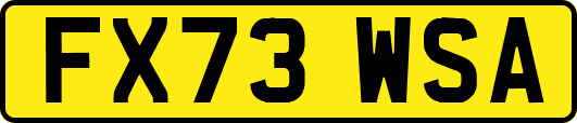 FX73WSA