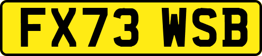 FX73WSB