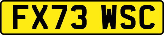 FX73WSC