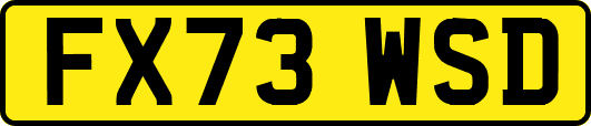 FX73WSD