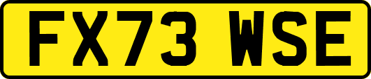 FX73WSE