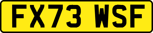 FX73WSF