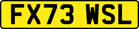 FX73WSL