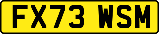 FX73WSM