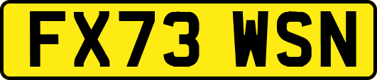 FX73WSN