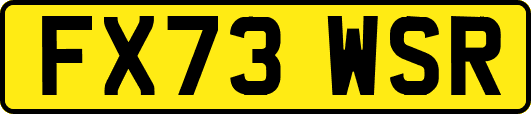 FX73WSR
