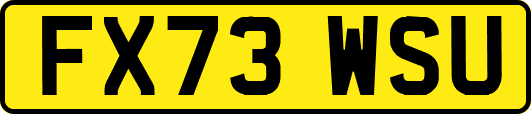 FX73WSU